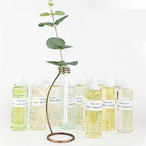 이앤 심플 w3 데일리스윗 아로마 디퓨저 + 엔틱 화병, 캐모마일