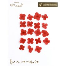 체크스토리 압화꽃송이 익소라, 레드