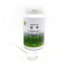 수산복해 밀싹분말, 100g, 1개