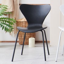 루오 인테리어 의자, 블랙, 1개