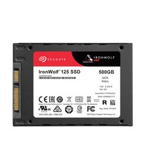 씨게이트 Ironwolf 125 SSD NAS, ZA500NM10002, 500GB