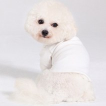 핫한 강아지흰색셔츠 인기 순위 TOP100 제품들을 발견하세요