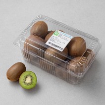 느영나영 무농약 인증 제주도 그린키위, 1.5kg(11~14입), 1개