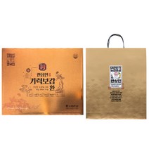 한삼인 기력보감 환 + 쇼핑백, 3.75g, 25개