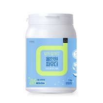 답이답이다 올인원 식기세척기 세제 파우더, 1kg, 1개