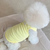 바이담수미 반려동물 베이직 나시, 옐로우