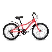 알톤스포츠 2021년형 엑시언 207 MTB 자전거 미조립박스배송, 네온핑크, 146cm