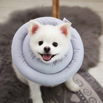 카카몽 반려동물 UFO 쿠션 넥카라 모노그레이 XL, 1개