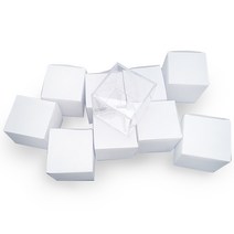 프로젝트Z 탁구 골프공 아크릴 케이스 PRO-Z-GT010 10p, 투명