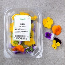 팜에이트 비올라 식용화 30EA, 1개