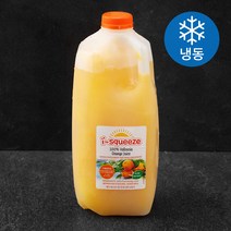 [이해황논리퀴즈매뉴얼] 아이스퀴즈 100% 오렌지주스 (냉동), 1.82L, 1개