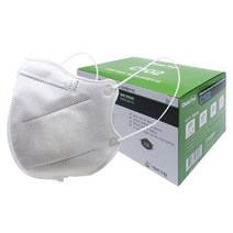 크린탑 방진 마스크 2급 C102 10p, 1개