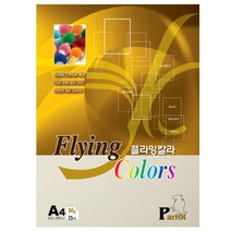 삼원특수지 플라잉 칼라 복사용지 상아색 80g P01, 500개, A4