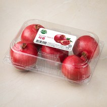 만나 미국 석류 5입, 1.5kg, 1팩