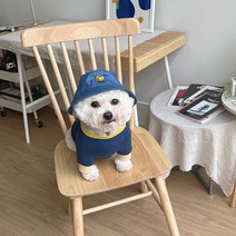 바이담수미 강아지 스마일브이 버킷햇, 데님