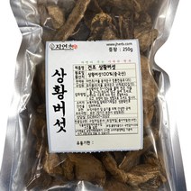 자연초 건조 상황버섯, 1개