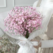 코코도르팜 생화 프리미엄 안개꽃다발, 연핑크