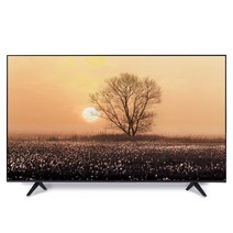 와이드뷰 4KUHD 구글 안드로이드 TV, 165cm(65인치), GTWV65UHD-E1, 벽걸이형, 방문설치