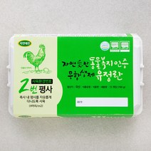 자연애찬 동물복지 인증 무항생제 유정란 15구, 780g, 1개
