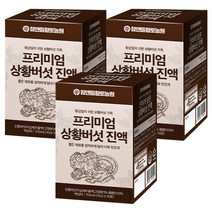 참앤들황토농원 프리미엄 상황버섯진액 30p, 2100ml, 1개