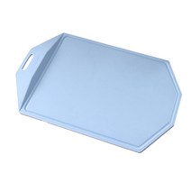 리빙아트 논슬립 TPR 도마, 블루