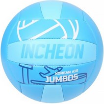 대한항공 INCHEON 배구공