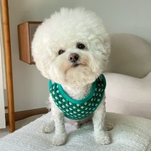 바이담수미 강아지 꽃멜빵단추나시, 그린