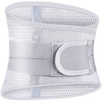 심플라인 허리 강판 보호대 그레이 2XL, 1개