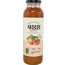구티 자몽청, 1개, 580g