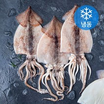 오바다 국내산 손질오징어 (냉동), 700g(4미), 1봉