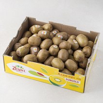 다조은 제스프리 제주 썬골드키위, 5.7kg, 1개