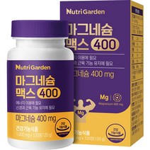 뉴트리가든 마그네슘 맥스400 120g, 120정, 1개