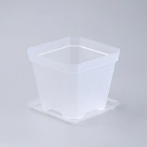 미화부장 분갈이 사각 플라스틱 화분 10p + 받침 10p 세트, 07 투명