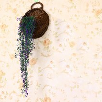 버드나무 에어플랜트 벽 장식 덩굴 식물 딥퍼플 황금종 S, 1개