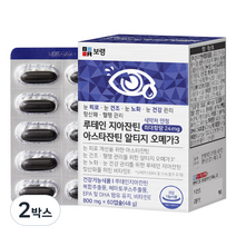 보령 루테인 지아잔틴 아스타잔틴 알티지 오메가3 48g, 60정, 2박스