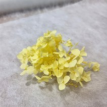 프리저브드 수국 소분 1g, 노랑