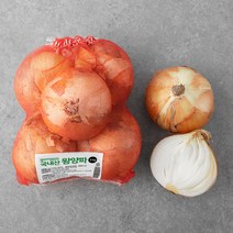 곰곰 국내산 왕양파, 3kg, 1봉