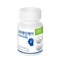 풀무원건강생활 브레인케어 은행잎추출물, 1개, 30정