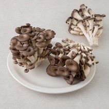 친환경인증 느타리버섯, 500g, 1봉