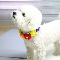 리스펫 뿜뿜 반려동물 무지개 꽃걸이, 혼합색상