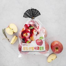 곰곰 당도선별 사과, 2kg, 1봉