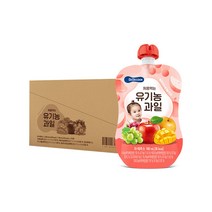 베베쿡 처음먹는 유기농 과일 100ml, 10팩