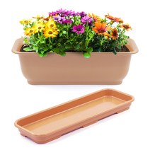 라운드 직사각 뷰티 5호 + 받침, 커피 컬러