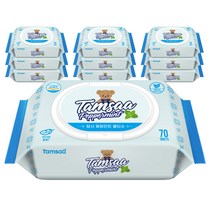 탐사 페퍼민트 물티슈 캡형, 70매, 10팩