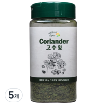 내츄럴스파이스 고수잎, 40g, 5개