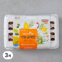 가농 무항생제 1+등급 특란 15구, 3개