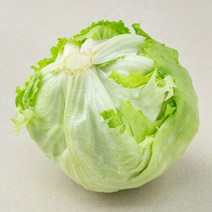 곰곰 친환경 양상추, 1개입, 1개