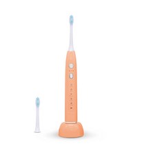 단미 클린케어 휴대용 충전식 음파전동칫솔 세트, DA-CL200 (코랄)