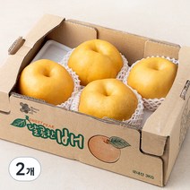 천안 당도선별 신고배, 3kg, 2개