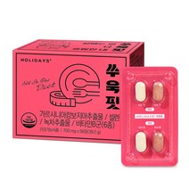 홀리데이즈 올인원 쑤욱핏, 56정, 39.2g, 1개